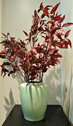 Red Amaranth leaves